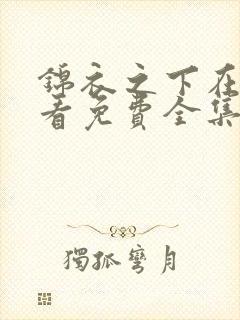 锦衣之下在线观看免费全集高清