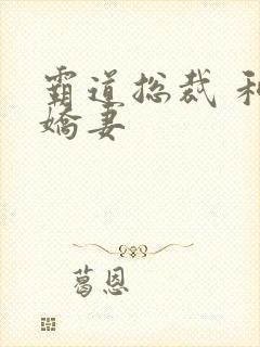 霸道总裁 和小娇妻