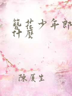 簪花少年郎讲的什么