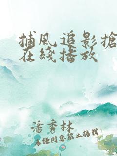 捕风追影抢先版在线播放