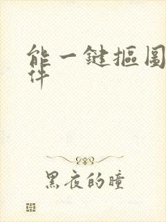 能一键抠图的软件