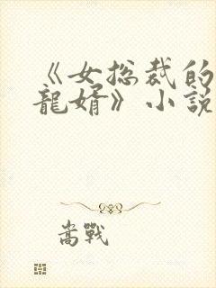 《女总裁的上门龙婿》小说