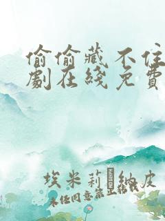 偷偷藏不住电视剧在线免费观看