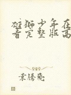 雄狮少年在线观看完整版高清免费