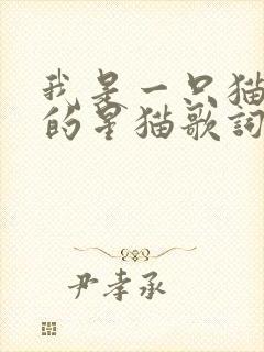 我是一只猫快乐的星猫歌词