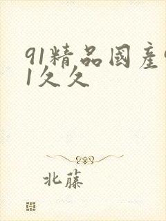 91精品国产91久久
