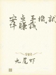 安卓手机试玩软件赚钱