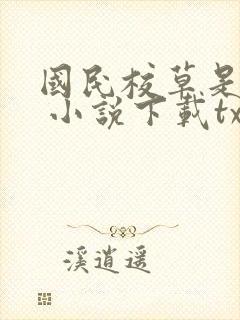 国民校草是女生 小说下载txt