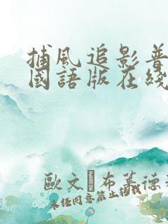 捕风追影普通话国语版在线播放