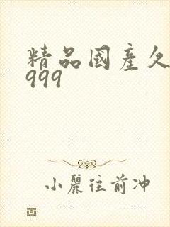 精品国产久久久999