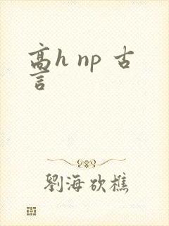 高h np 古言
