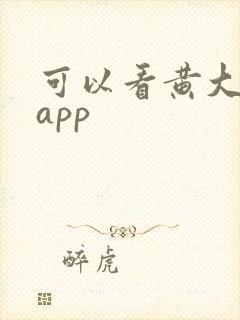 可以看黄大片的app