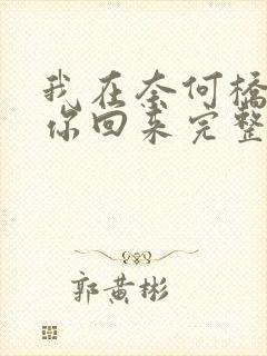 我在奈何桥上等你回来完整歌词