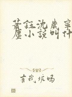 萧钰沈岁宁徐卿尘小说叫什么名字