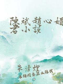 陈斌赵心媚高婉君小说