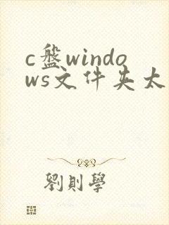 c盘windows文件夹太大怎么清理