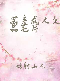 国产成人久久精品毛片