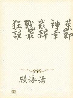 狂战武神叶天小说最新章节