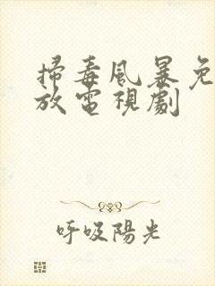 扫毒风暴免费播放电视剧