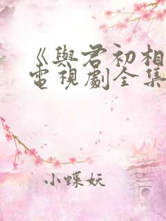 《与君初相识》电视剧全集在线观看