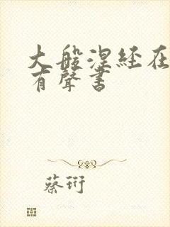 大般涅经在线听有声书