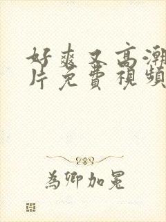 好爽又高潮了毛片免费视频