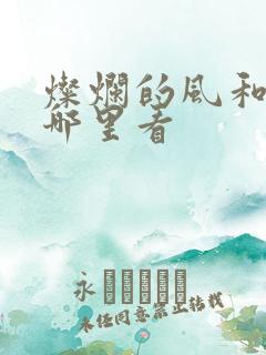 灿烂的风和海在哪里看