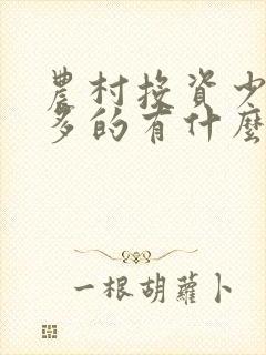 农村投资少挣钱多的有什么项目