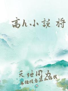 高h小说 将军