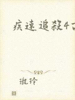 疾速追杀4高清