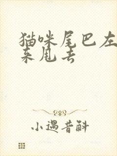 猫咪尾巴左右甩来甩去