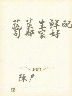 蔬菜生鲜配送公司哪家好