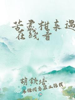 苦尽柑来遇见你 在线看