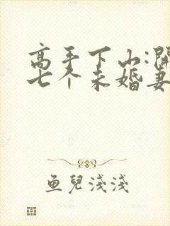 高手下山:开局七个未婚妻小说网