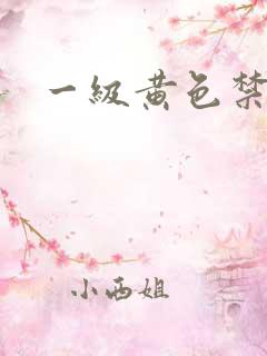 一级黄色禁片