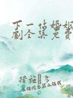 下一站婚姻电视剧全集免费观看高清