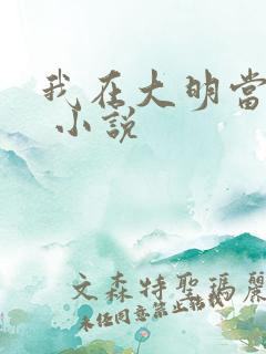 我在大明当暴君 小说