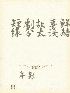 短剧故事鲜艳而缘分太浅结局