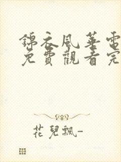 锦衣风华电视剧免费观看完整版高清