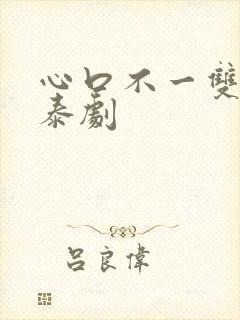 心口不一双男主泰剧