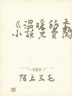 《温暖的季风》小说免费阅读