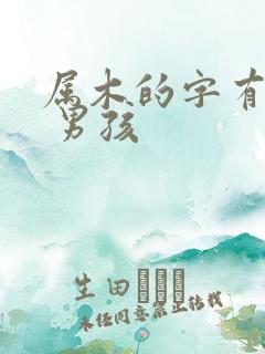 属木的字有哪些 男孩