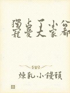 独占了小公主的宠爱大家都执着于我漫画