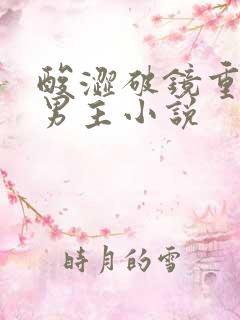 酸涩破镜重圆双男主小说