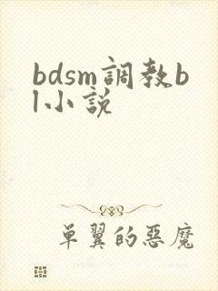 bdsm调教bl小说