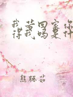 我若回家你还记得我吗是什么歌