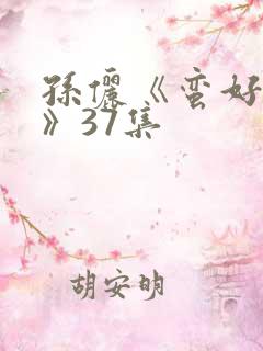 孙俪《蛮好人生》37集