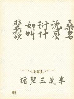 裴如衍沈桑宁小说叫什么名字