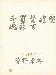 斗罗觉醒双生武魂苏玄