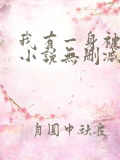 我有一身被动技小说无删减版